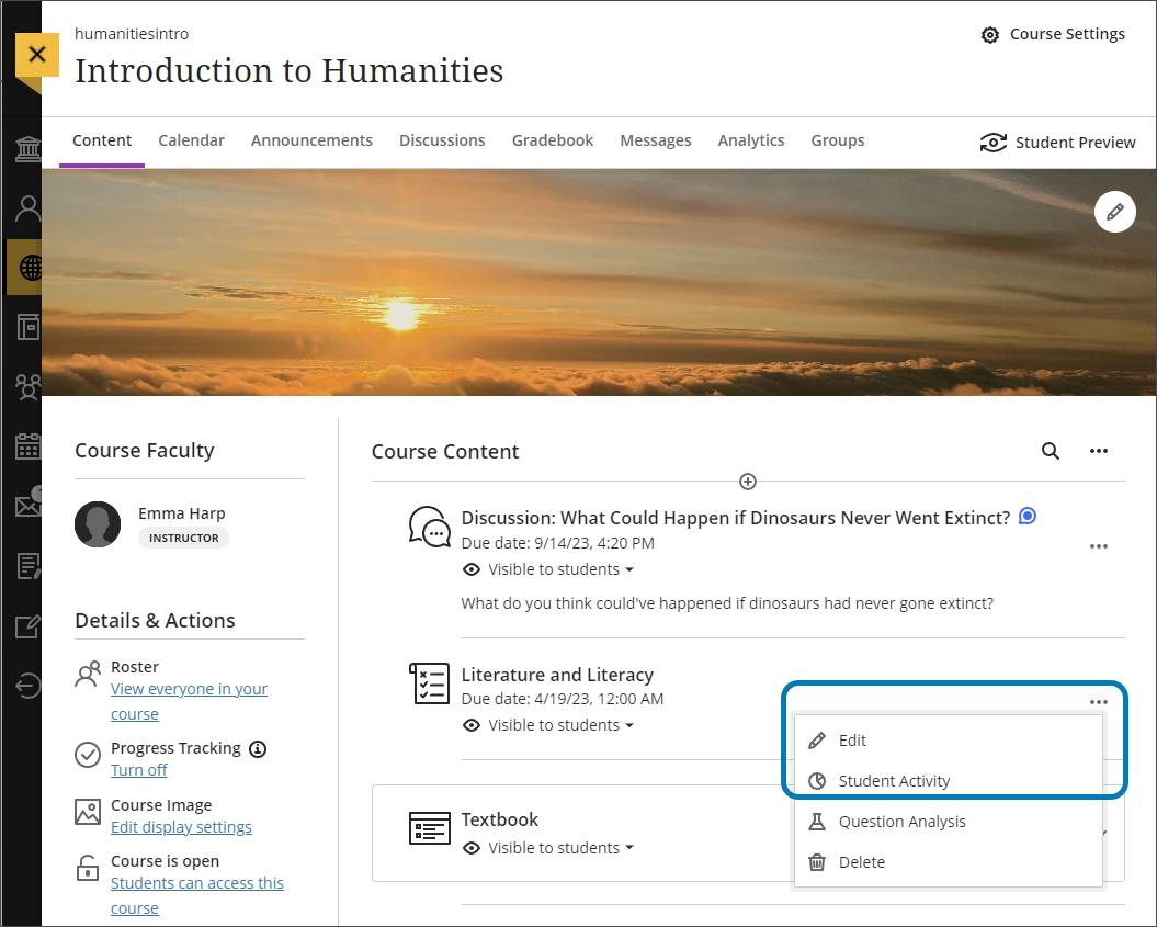 Image of the content page with the More Options menu open to the left, with the Student Activity option highlighted