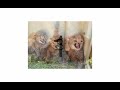 Watch this video