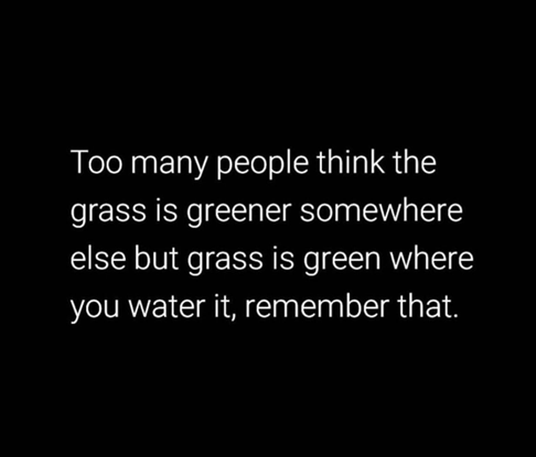 Too many people think the grass is greener somewhere else but grass is green where you water it, remember that.