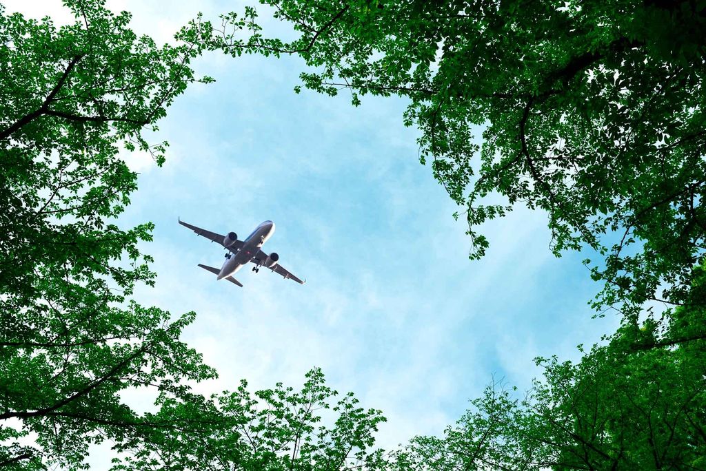 Photo: A plane flying over a forest