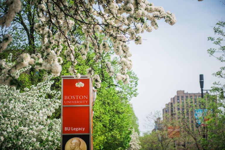 Campus stock photography. Photo by Janice Checchio for Boston University Photography.