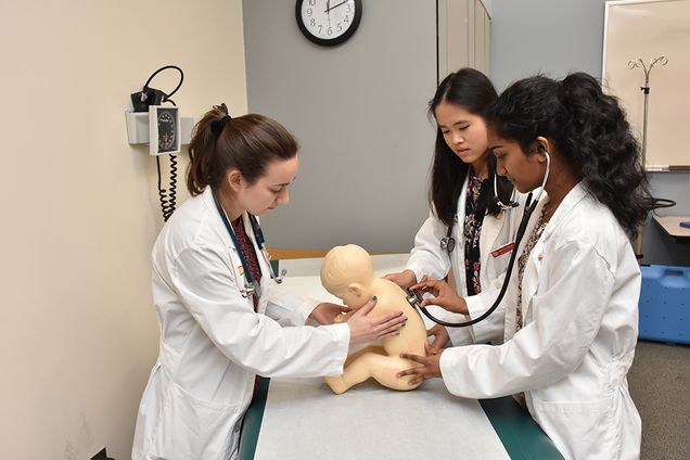 students working with doll to learn more about medicine