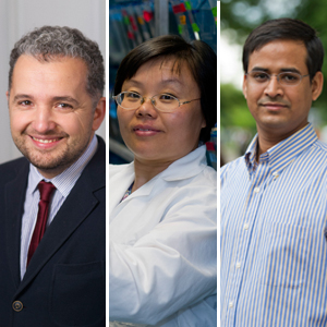 Boston University Career Development Professorships, Cornel Ban, assistant professor of international relations, Boston University College of Arts and Sciences CAS, Hui Feng, Director Laboratory of Zebrafish Genetics and Cancer Therapeutics, Boston University School of Medicine MED, Nachiketa Sahoo, assistant professor of information systems, Boston University School of Management SMG