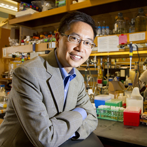 Christopher Chen, Boston University College of Engineering, ENG, tissue engineering, biomedical engineering