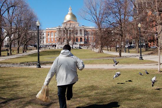 chasing pigeons, scaring pigeons, Massachusetts State House, Masachusetts 法律s, antiquated 法律s in Masachusetts