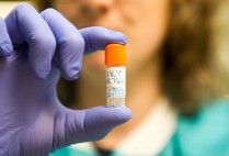 Researcher at Boston University NEIDL facility holds a vial containing a sample of the Zika virus