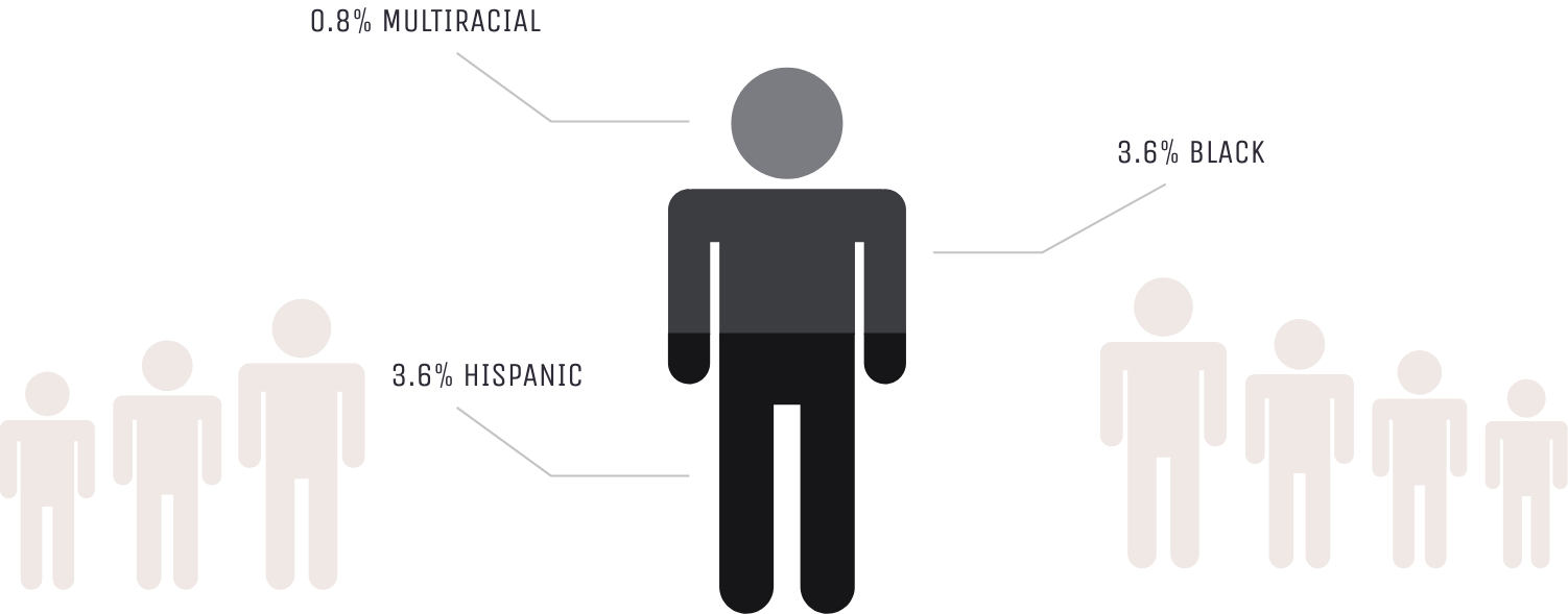 diversity infographic