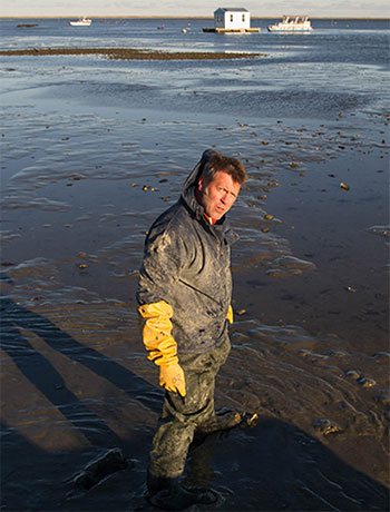 Brawley: Oyster Farmer