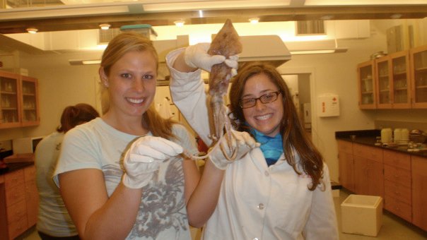Preparing a squid for dissection.