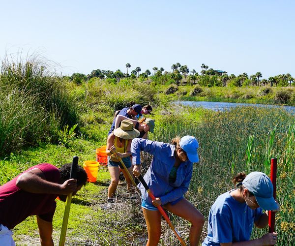People cleaning up an estuary