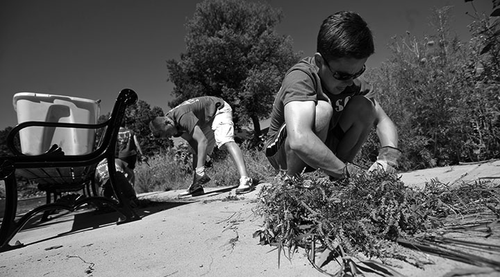 Students volunteering by cleaning up a neighborhood
