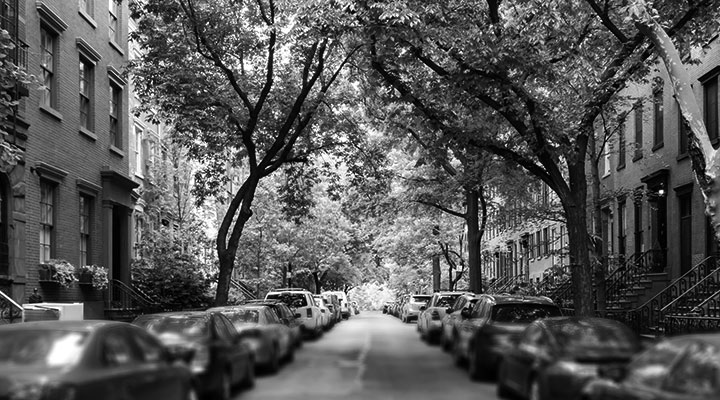 Tree lined city street