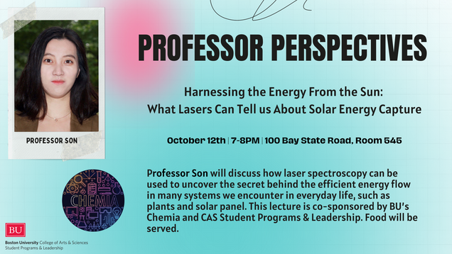 Professor Perspective: Harnessing the Energy From the Sun: What Lasers Can Tell us 关于 Solar Energy Capture