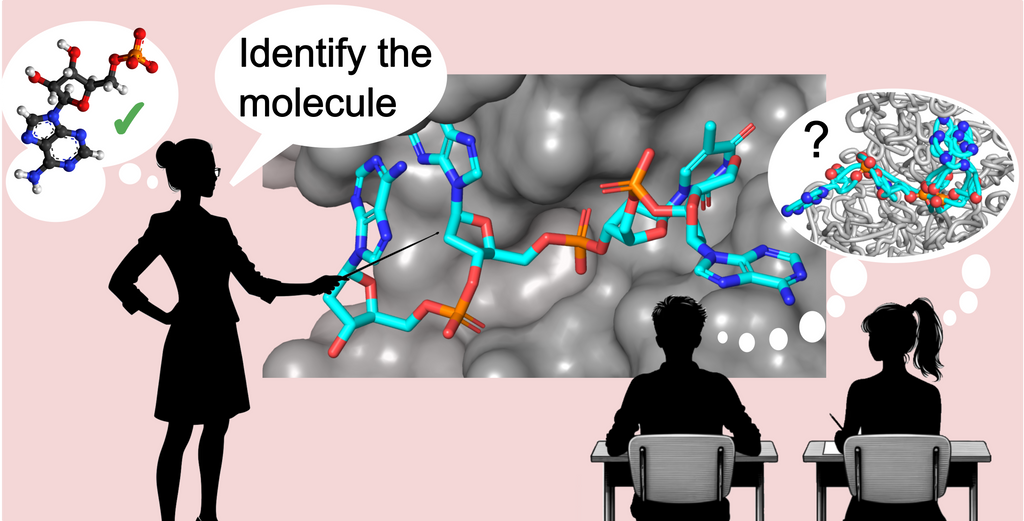 Molecular visualization