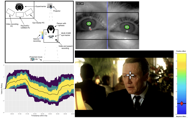 Eyetracking Diagram