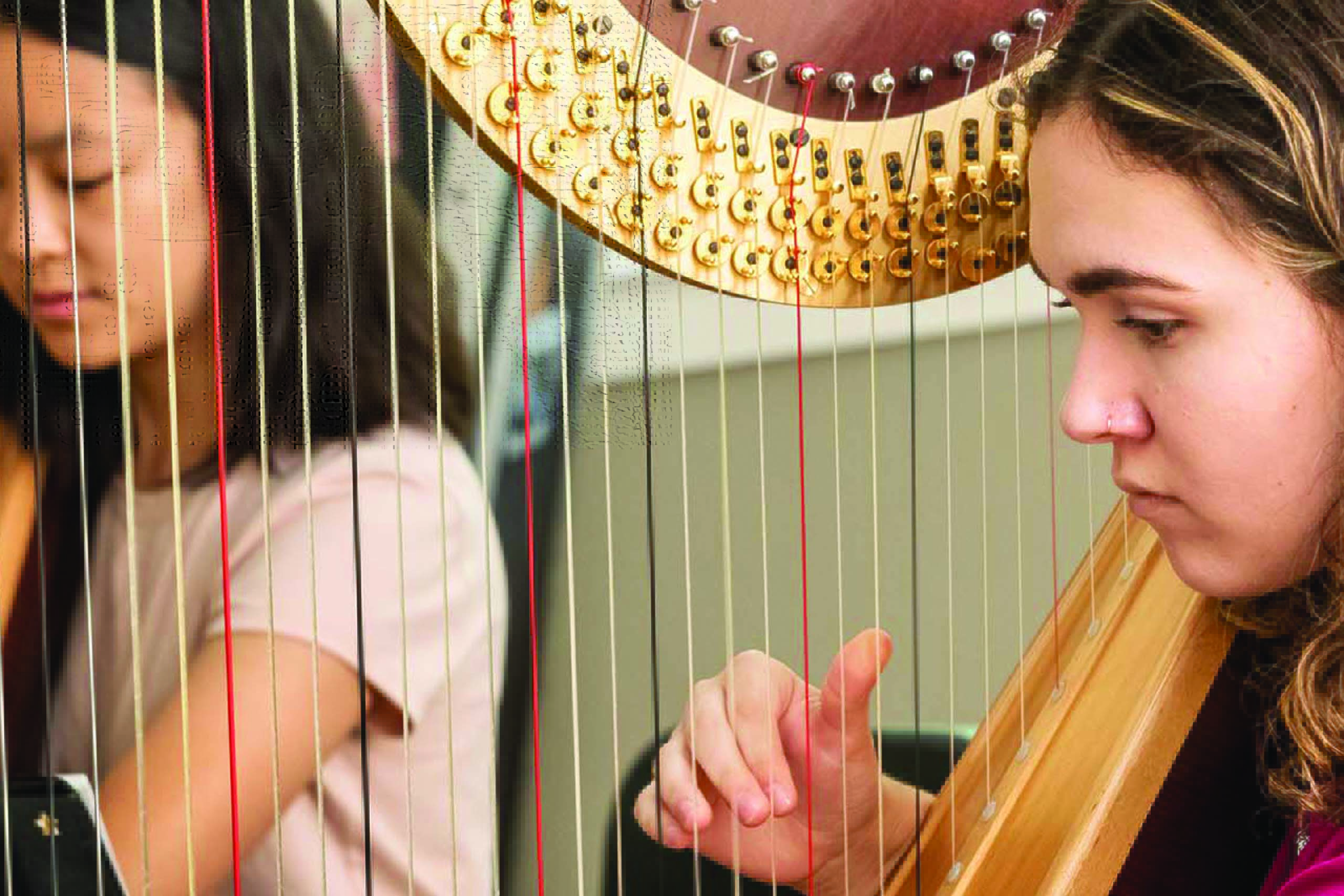harp at BUTI