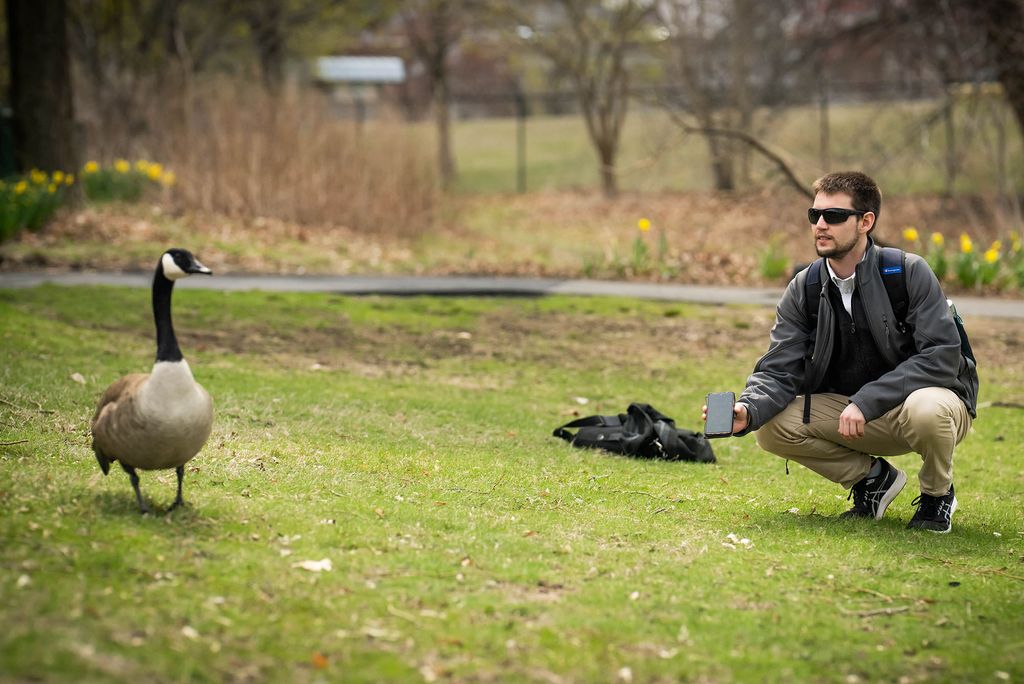 雅各布·惠特, a 波士顿大学 Master of Music in Composition student, crouches in a grassy park holding a smartphone toward a Canada goose standing a few feet away. He wears sunglasses and a backpack, with a soft background of daffodils, trees, and early spring foliage.