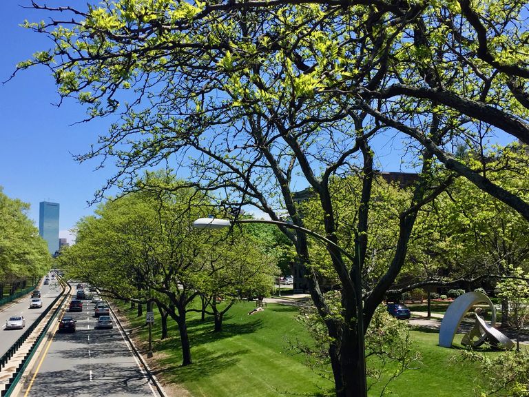 Storrow Drive and BU Beach