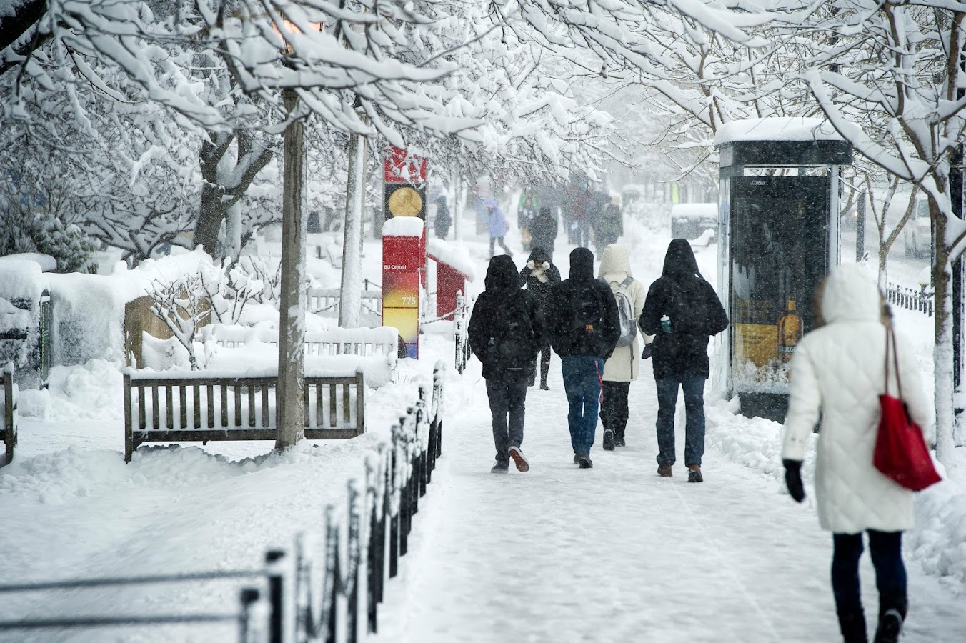 3/8/13 - Boston, MAEarly March Snowstorm on CampusCentral campus, Commonwealth Ave sidewalkPhotograph by Vernon Doucette for Boston University Photography