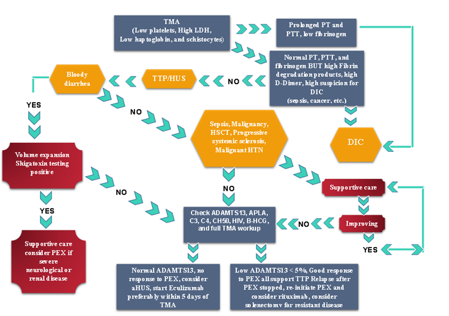 How to make diagnosis for TMA