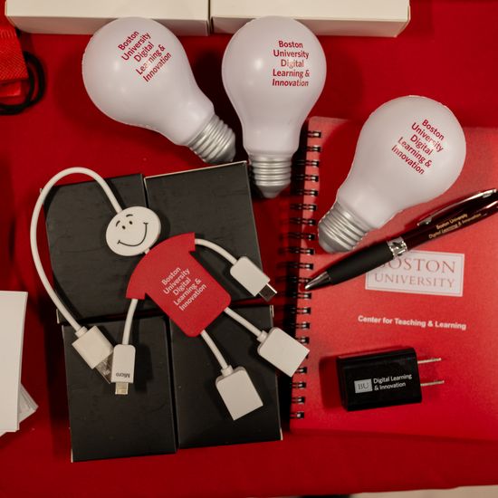 DL&I Merchandise at Faculty Forum 2024