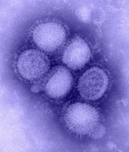 h1n1
