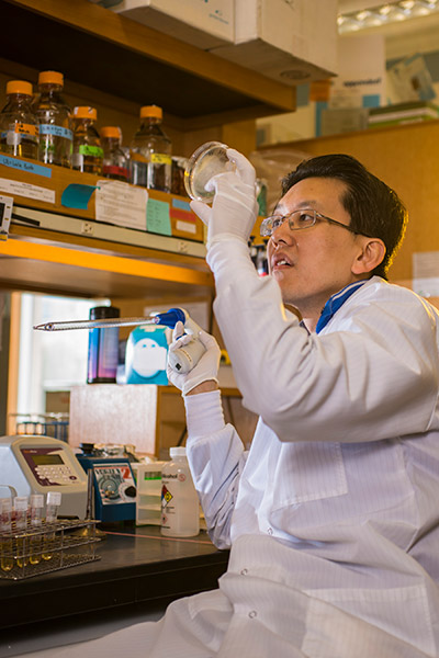Assistant Professor Wilson Wong (BME). Photo by Mike Pecci