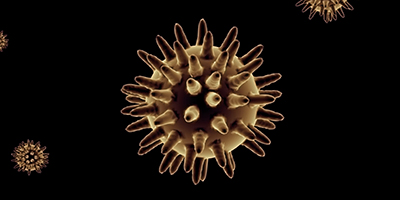 BME.bacteria_400x2002