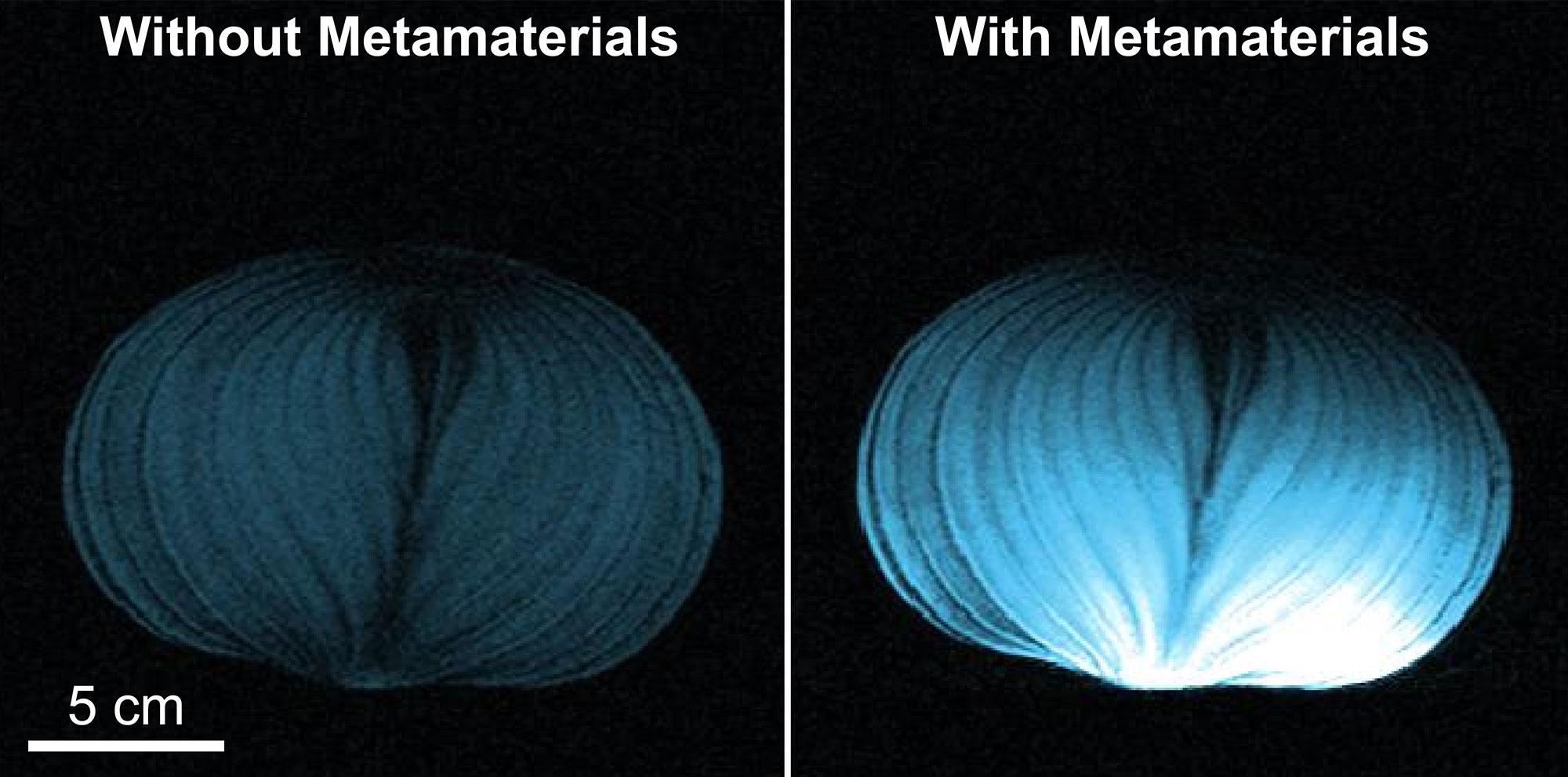 Composite image showing MRI scans of an onion, comparing a standard MRI scan quality to quality of an MRI scan using the newly developed intelligent metamaterial. Text embedded of the standard MRI scan says 'Without Metamaterials' and text above the enhanced MRI scan says 'With Metamaterials.'