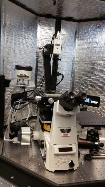 AFM-FM Microscope
