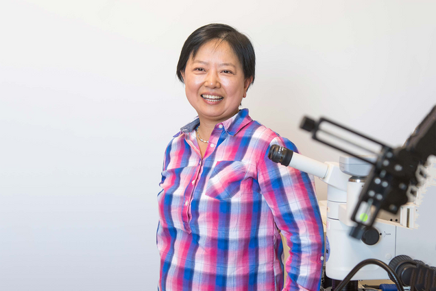 Xin Zhang in her lab