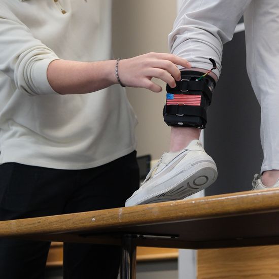 Biometric sensor