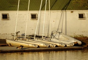 07-1776-004-h ally.jpg