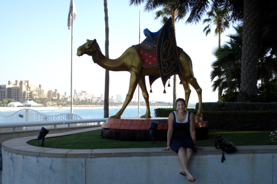 camel.jpg