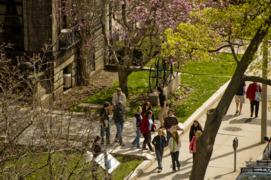 cu09-1344-Spring-006.jpg