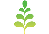 sustainability-related student organizations, Sustainability @ BU