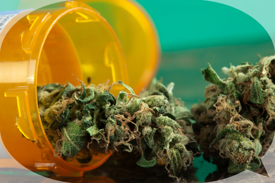 Legalize Medical Marijuana Massachusetts state ballot initiative 2012, should medical marijuana be legal, legalize decriminalize marijuana