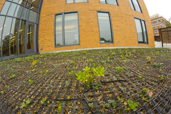 Boston University BU Center for Student Services, Leadership in Energy and Environmental Design LEED certification, sustainability