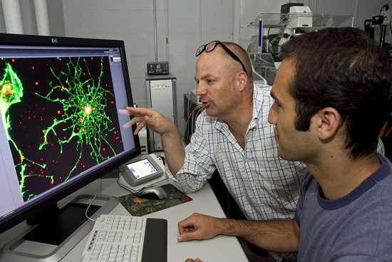 Kevin Kit Parker, Harvard lab Kevin Kit Parker, Harvard University, traumatic brain injury TBI