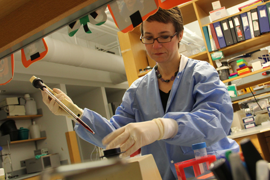 Boston University BU, School of Public Health SPH, National Institute of Environmental Health Sciences Superfund Research Program, Jennifer Schlezinger, toxic contaminants research, 11 million dollar award