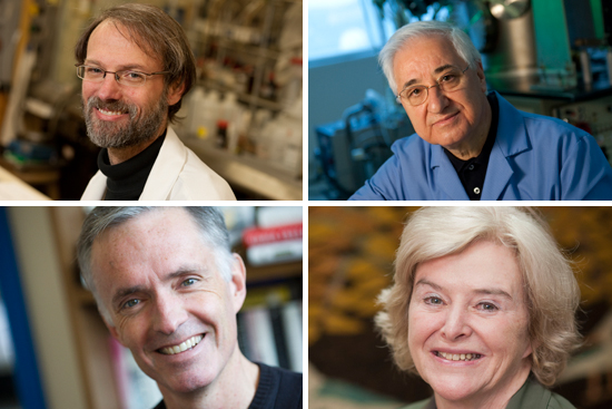 Boston University BU, professors, Mark Grinstaff, Theodore Moustakas, Barbara Gilchrest, James Collins, William Fairfield Warren Distinguished Professor, biomedical engineer, chemistry, National Academy of Inventors