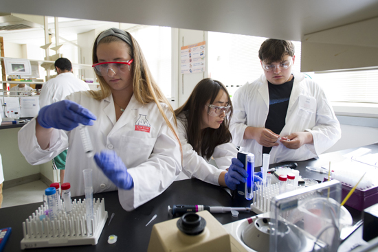 Boston University BU, College of Arts and Sciences CAS, biotechnology CityLab SummerLab high school program, youth science camp