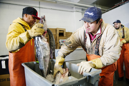 Boston University BU, sustainability @ BU, Local seafood supplier Red’s Best fish, Boston Fish Pier