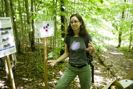 Boston University BU, College of Arts and Sciences CAS, Pam Templer, climate change research, forests, biology