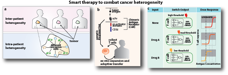 genetic switches