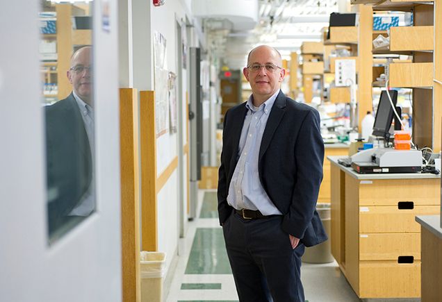 Dr. Jay Mizgerd - pulmonary researcher and principal investigator who runs a lab and is considered a leader on campus and in his field