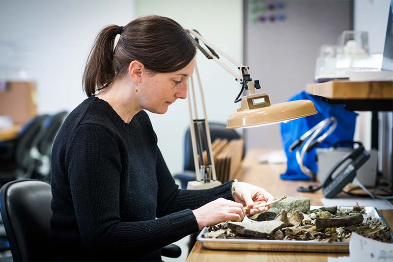 Catherine West, research assistant professor of archaeology at Boston University, working with arctic ground squirrel bones in her lab