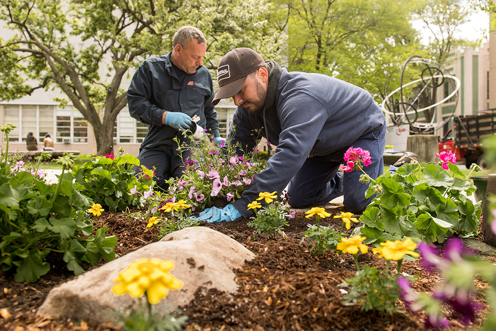 Facilities ground crew members planting flowers
