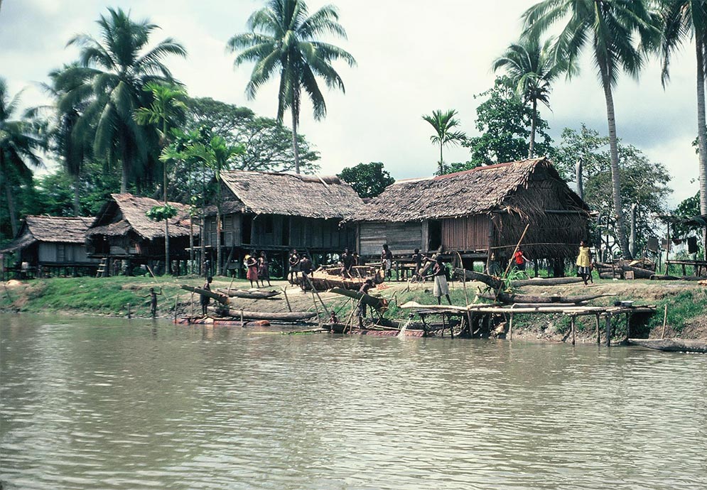 View of a native village in New Guinea from the Sepik River