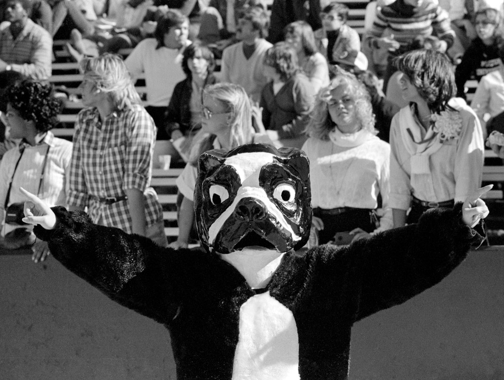 Rhett the Terrier poses for a photo during a game in 1978.